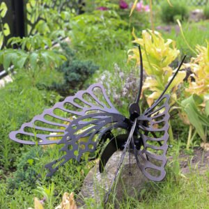 sodo dekoracija drugelis iš nugaros